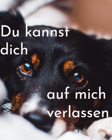 Maxi Augen